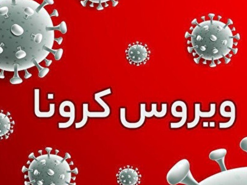 شناسایی ۲۶۶ مورد جدید مبتلا به کرونا ویروس در ایلام