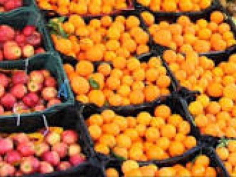 توزیع ۳٠٠ تن میوه طرح تنظیم بازار شب عید در ایلام